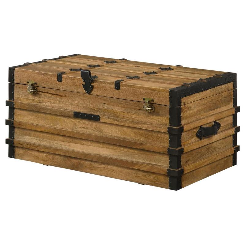 Storage Trunk
